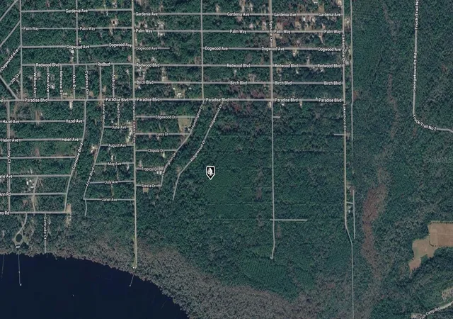 Photo 3 of Land for sale at 302 Siesta Dr, Georgetown, FL 32139 | MLS# A4709834 | Listing updated on 2026-10-21