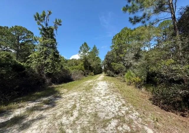 Photo 2 of Land for sale at 337 Palm Way, Georgetown, FL 32139 | MLS# K4903885 | Listing updated on 2026-10-17