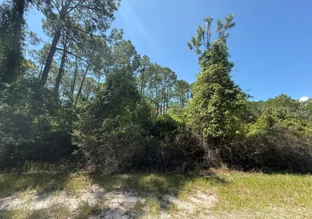 Photo 3 of Land for sale at 337 Palm Way, Georgetown, FL 32139 | MLS# K4903885 | Listing updated on 2026-10-17