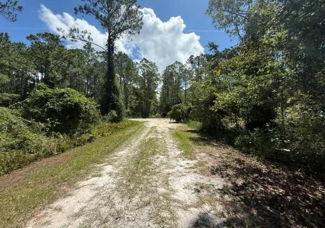Photo 4 of Land for sale at 337 Palm Way, Georgetown, FL 32139 | MLS# K4903885 | Listing updated on 2026-10-17