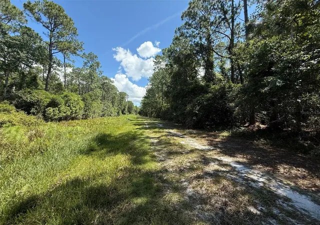 Photo 2 of Land for sale at 210 Se 2nd Street, Georgetown, FL 32139 | MLS# K4903887 | Listing updated on 2026-10-20