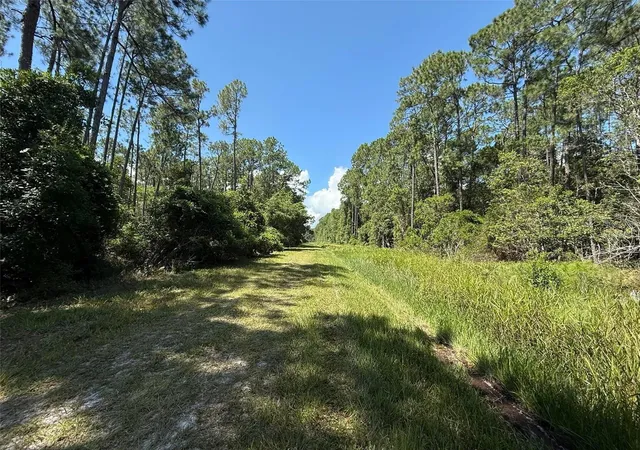 Photo 3 of Land for sale at 210 Se 2nd Street, Georgetown, FL 32139 | MLS# K4903887 | Listing updated on 2026-10-20