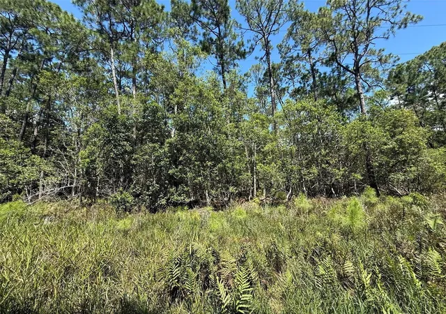 Photo 3 of Land for sale at 210 SE 2nd Street, Georgetown, FL 32139 | MLS# K4903887 | Listing updated on 2026-10-20