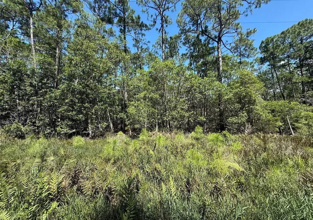Photo 4 of Land for sale at 210 SE 2nd Street, Georgetown, FL 32139 | MLS# K4903887 | Listing updated on 2026-10-20