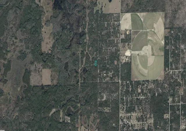 Photo 3 of Land for sale at 03161 176 00 Ne 122nd Place, Bronson, FL 32621 | MLS# A4709914 | Listing updated on 2026-10-19