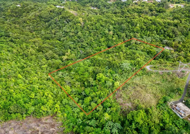 Photo 4 of Land for sale at 823 Km 45 Bo Rio, Toa Alta, PR 00953 | MLS# PR9125036 | Listing updated on 2026-10-17