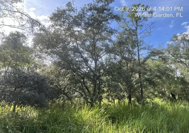 Photo 2 of Single family home for sale at 9901 Avalon Woods Dr, Winter Garden, FL 34787 | MLS# O6450619 | Listing updated on 2026-10-22