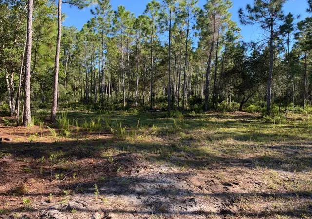 Photo 4 of Manufactured home for sale at 8961 Freedom Rd, Mims, FL 32754 | MLS# O6450622 | Listing updated on 2026-10-20