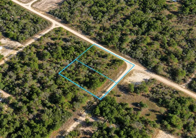 Land for sale at 138 & 142 Franklin Dr, HAWTHORNE, FL 32640 | MLS# TB8559125