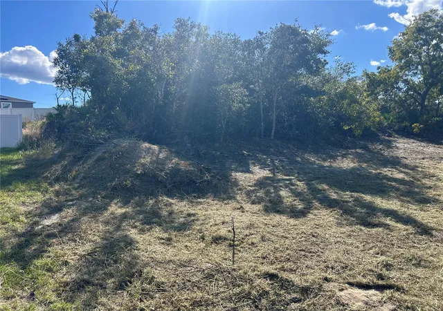 Photo 2 of Land for sale at 410 Caribbean Ct, Kissimmee, FL 34759 | MLS# A4709983 | Listing updated on 2026-10-26