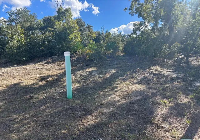 Photo 4 of Land for sale at 410 Caribbean Ct, Kissimmee, FL 34759 | MLS# A4709983 | Listing updated on 2026-10-26