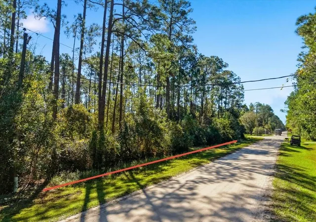 Land for sale at 1451 Hickory St, BUNNELL, FL 32110 | MLS# FC322215