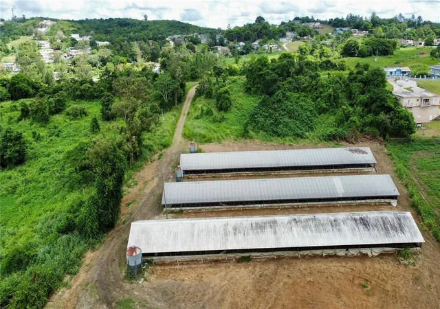 Photo 3 of Land for sale at Pr-162 Km 03 Aibonito Ward, Aibonito, PR 00705 | MLS# PR9125085 | Listing updated on 2026-10-20