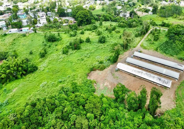 Photo 4 of Land for sale at Pr-162 Km 03 Aibonito Ward, Aibonito, PR 00705 | MLS# PR9125085 | Listing updated on 2026-10-20