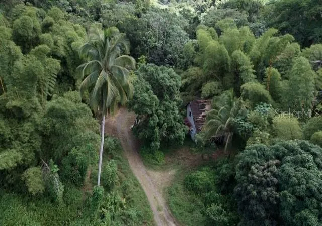 Photo 1 of Land for sale at Bo Pitahaya, Luquillo, PR 00773 | MLS# PR9125090 | Listing updated on 2026-10-20