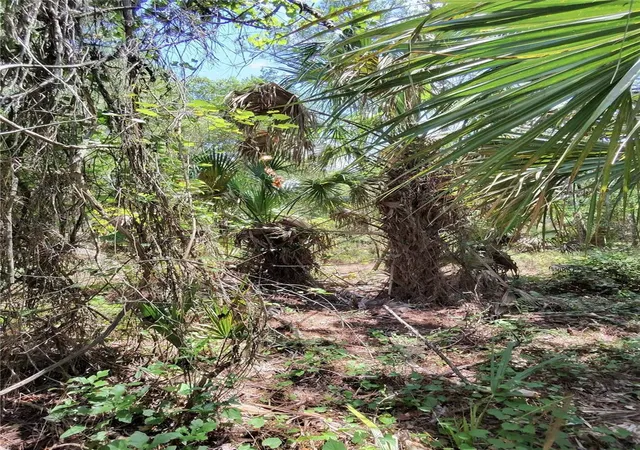 Photo 4 of Land for sale at 112 Chipola Dr, Georgetown, FL 32139 | MLS# TB8559525 | Listing updated on 2026-10-20