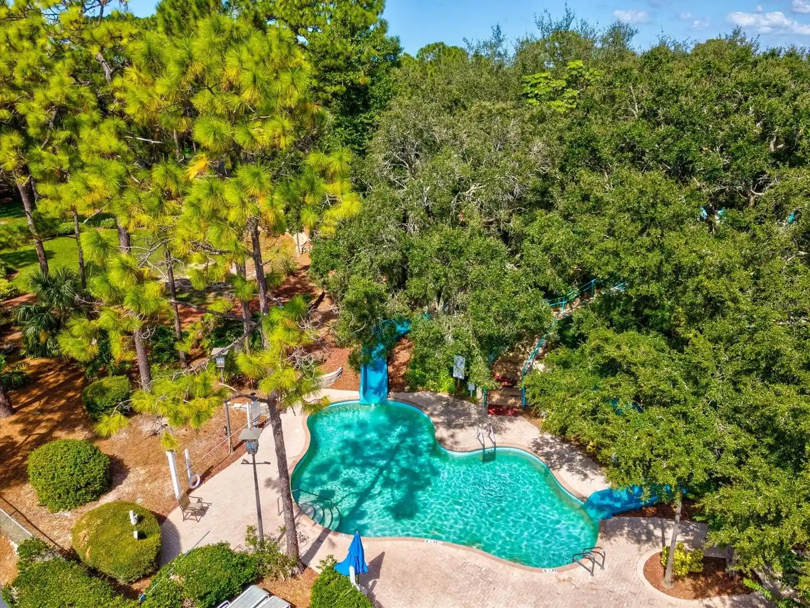 Listing Photo 56 - Condo for sale in 36750 Us Hwy 19 N located at 36750 Us Hwy 19 N, PALM HARBOR, FL 34684 - Unit #3-204