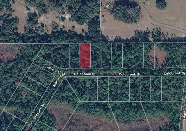 Land for sale at 116 Coldbrook St, GEORGETOWN, FL 32139 | MLS# B4902400