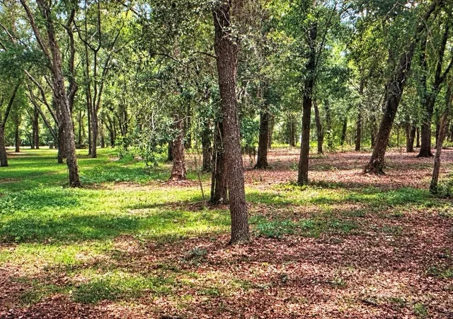 Land for sale at Rolling Acres Rd, LADY LAKE, FL 32159 | MLS# G5119280