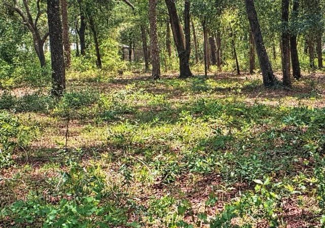 Photo 2 of Land for sale at Rolling Acres Rd, Lady Lake, FL 32159 | MLS# G5119280 | Listing updated on 2026-10-23
