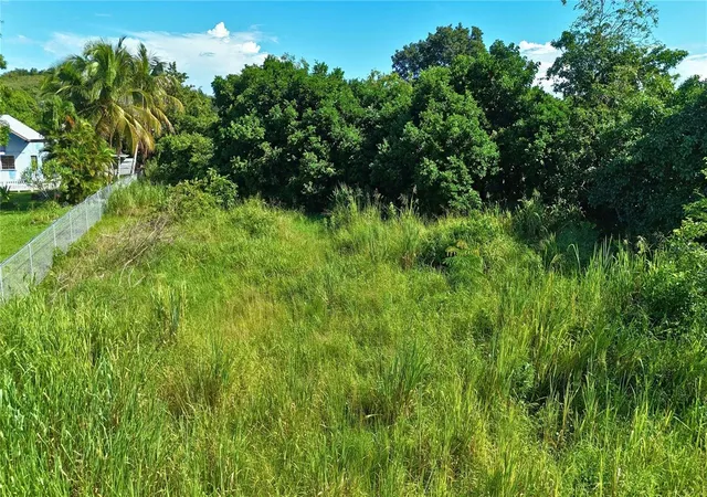 Photo 3 of Land for sale at Bo Miradero Sector Parabueyon Calle Mi Familia Carr 102, Cabo Rojo, PR 00623 | MLS# PR9125119 | Listing updated on 2026-10-21