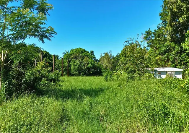 Photo 4 of Land for sale at Bo Miradero Sector Parabueyon Calle Mi Familia Carr 102, Cabo Rojo, PR 00623 | MLS# PR9125119 | Listing updated on 2026-10-21