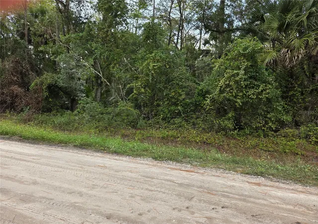 Land for sale at 2096 Orange St, BUNNELL, FL 32110 | MLS# FC322248