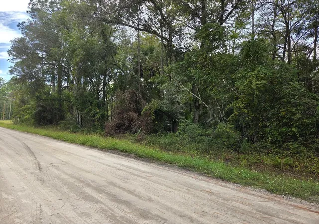 Photo 2 of Land for sale at 2096 Orange St, Bunnell, FL 32110 | MLS# FC322248 | Listing updated on 2026-10-21