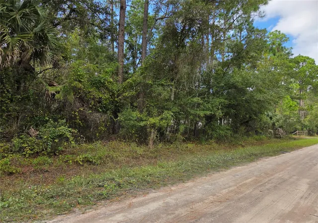 Photo 3 of Land for sale at 2096 Orange St, Bunnell, FL 32110 | MLS# FC322248 | Listing updated on 2026-10-21