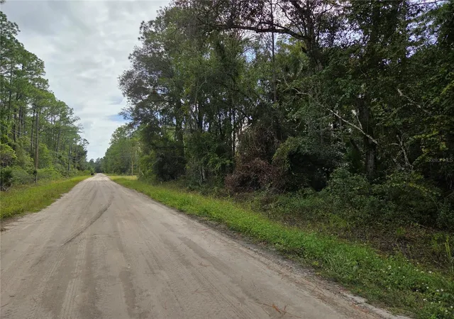 Photo 4 of Land for sale at 2096 Orange St, Bunnell, FL 32110 | MLS# FC322248 | Listing updated on 2026-10-21