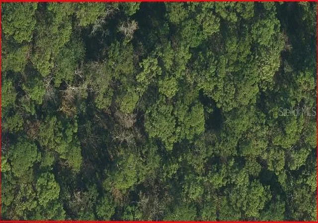 Photo 1 of Land for sale at Sweetwater Trl, Kissimmee, FL 34747 | MLS# L4965920 | Listing updated on 2026-10-21