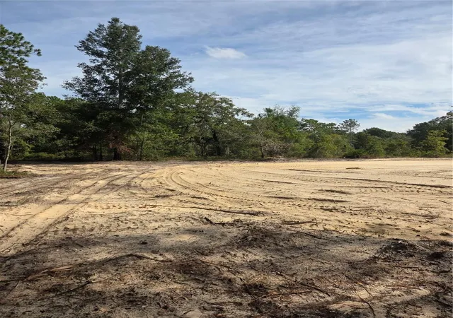 Photo 4 of Land for sale at 16147 Sheldrake Loop, Brooksville, FL 34614 | MLS# TB8559905 | Listing updated on 2026-10-20