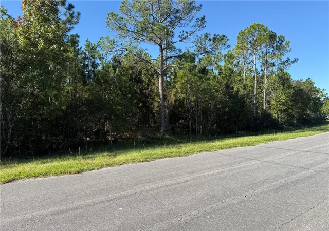 Land for sale at Reynolds Pkwy, ORLANDO, FL 32833 | MLS# O6451397