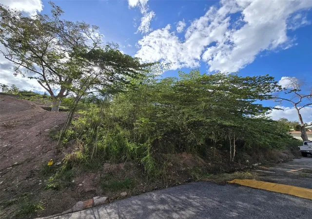 Photo 3 of Land for sale at Cerro Las Piñas Urbanizacion Quintas De Altamira, Juana Diaz, PR 00795 | MLS# PR9125135 | Listing updated on 2026-10-21