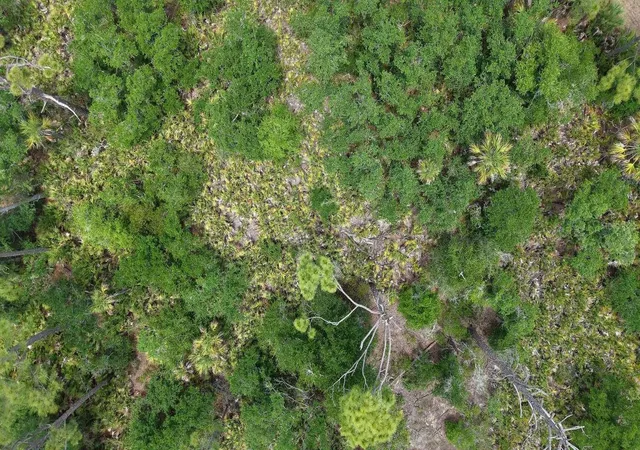 Land for sale at 470 Olmstead St, PORT CHARLOTTE, FL 33953 | MLS# TB8560024