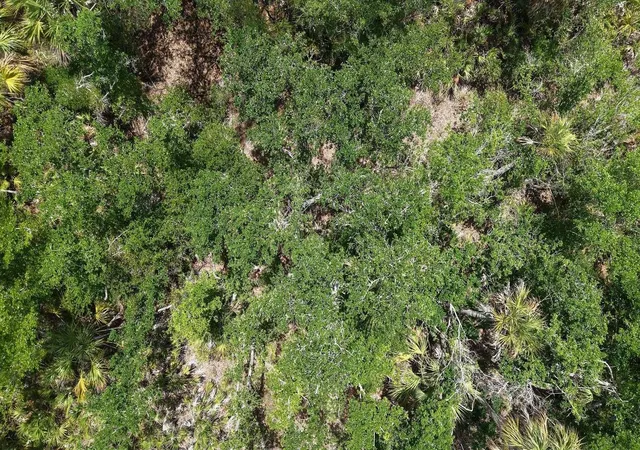Photo 3 of Land for sale at 470 Olmstead St, Port Charlotte, FL 33953 | MLS# TB8560024 | Listing updated on 2026-10-23