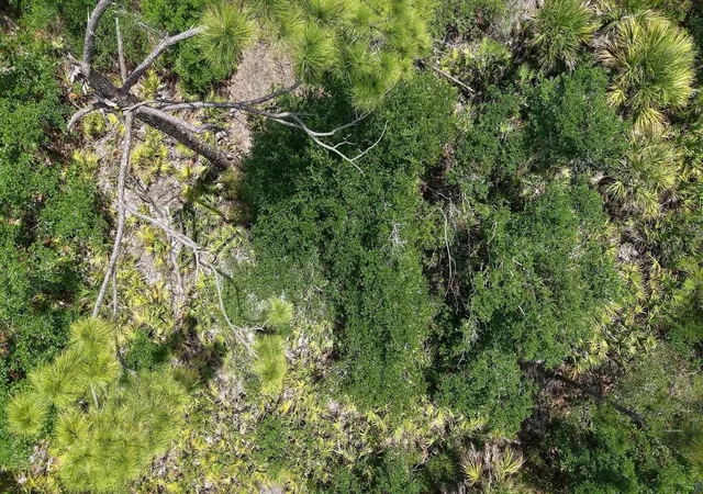 Photo 4 of Land for sale at 470 Olmstead St, Port Charlotte, FL 33953 | MLS# TB8560024 | Listing updated on 2026-10-23