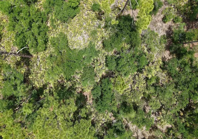 Land for sale at 14208 Cameron Ave, PORT CHARLOTTE, FL 33953 | MLS# TB8560030