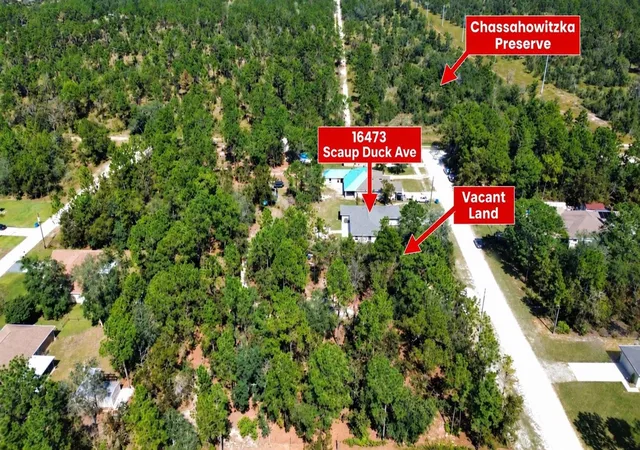 Photo 2 of Single family home for sale at 16473 Scaup Duck Ave, Weeki Wachee, FL 34614 | MLS# TB8560031 | Listing updated on 2026-10-23