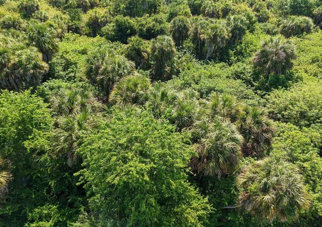 Photo 1 of Land for sale at 60 Denver Dr, Port Charlotte, FL 33954 | MLS# TB8560048 | Listing updated on 2026-10-26