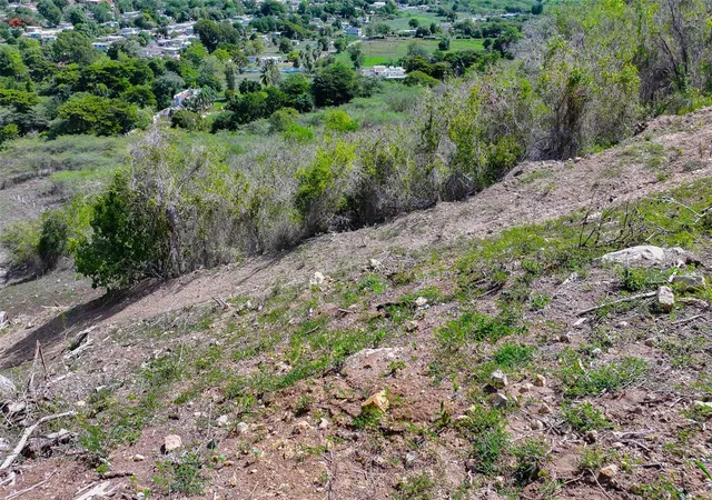 Photo 2 of Land for sale at 121 Road, Sabana Grande, PR 00637 | MLS# PR9125137 | Listing updated on 2026-10-22