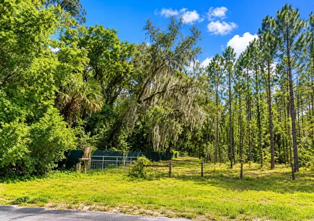 Photo 2 of Land for sale at 000 Cr 309, Satsuma, FL 32189 | MLS# O6451515 | Listing updated on 2026-10-22