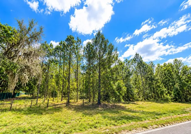 Photo 3 of Land for sale at 000 Cr 309, Satsuma, FL 32189 | MLS# O6451515 | Listing updated on 2026-10-22