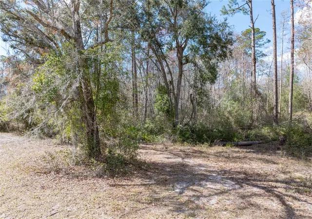 Photo 3 of Land for sale at 375 Nw Lamar Pl, Lake City, FL 32055 | MLS# GC544340 | Listing updated on 2026-10-26
