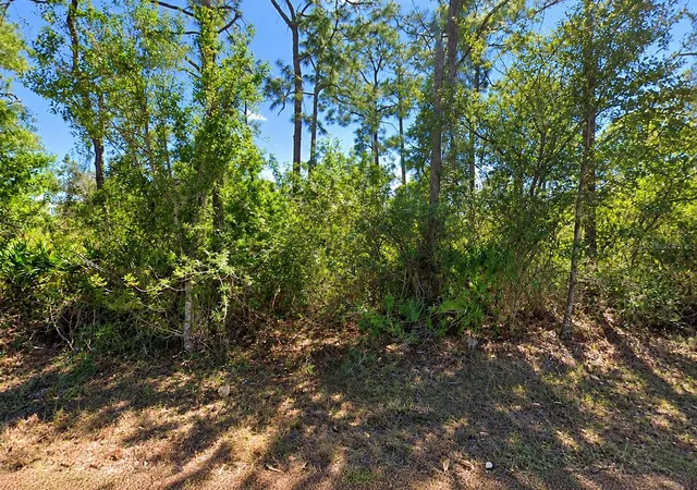 Photo 2 of Land for sale at 902 E 15th Street, Lehigh Acres, FL 33972 | MLS# TB8560263 | Listing updated on 2026-10-29