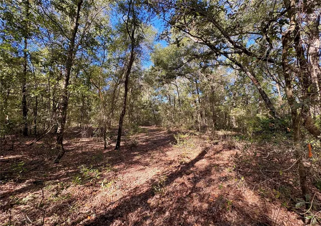 Photo 4 of Land for sale at NE Cr 340, High Springs, FL 32643 | MLS# GC544353 | Listing updated on 2026-10-25
