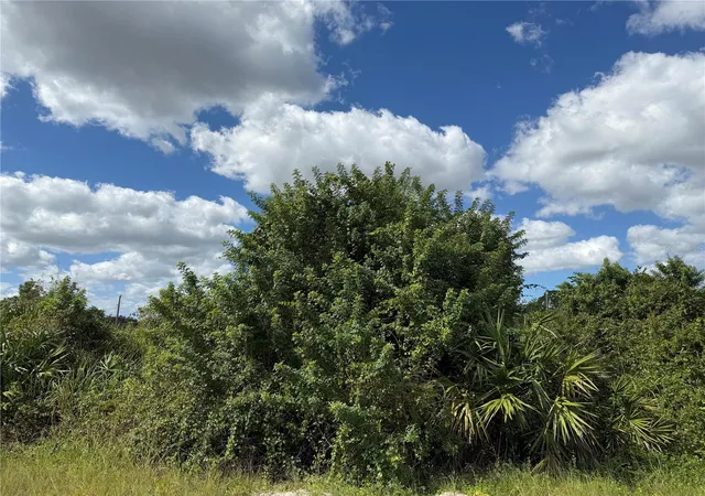 Photo 1 of Land for sale at 1209 Plumosa Ave #3, Lehigh Acres, FL 33972 | MLS# TB8560347 | Listing updated on 2026-10-22