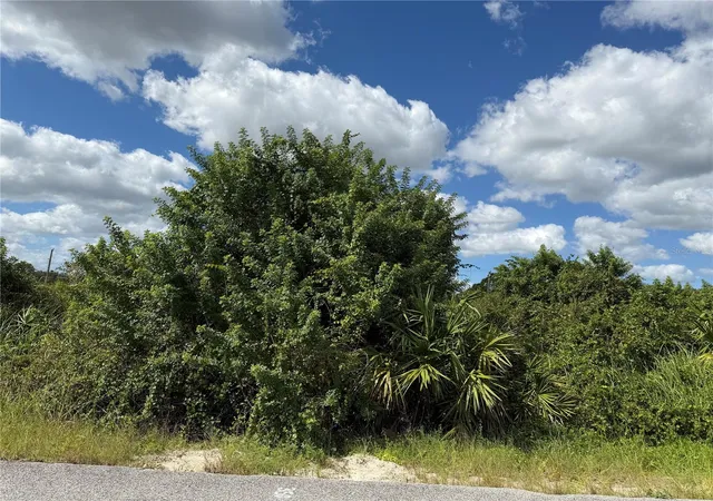 Photo 1 of Land for sale at 1209 Plumosa Ave #3, Lehigh Acres, FL 33972 | MLS# TB8560347 | Listing updated on 2026-10-22