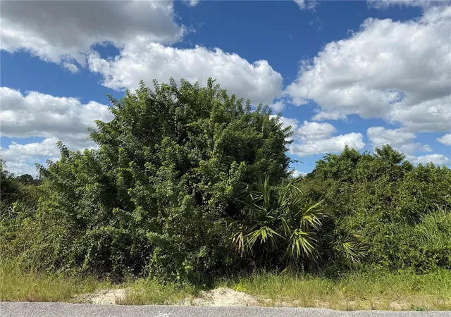 Photo 4 of Land for sale at 1209 Plumosa Ave #3, Lehigh Acres, FL 33972 | MLS# TB8560347 | Listing updated on 2026-10-22