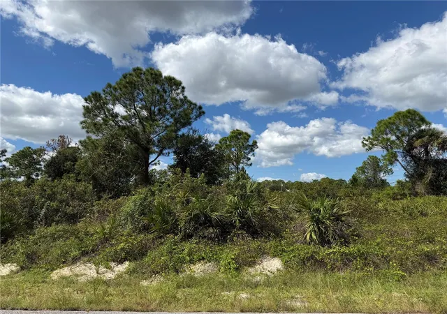 Photo 1 of Land for sale at 1203 Plumosa Ave #3, Lehigh Acres, FL 33972 | MLS# TB8560374 | Listing updated on 2026-10-22